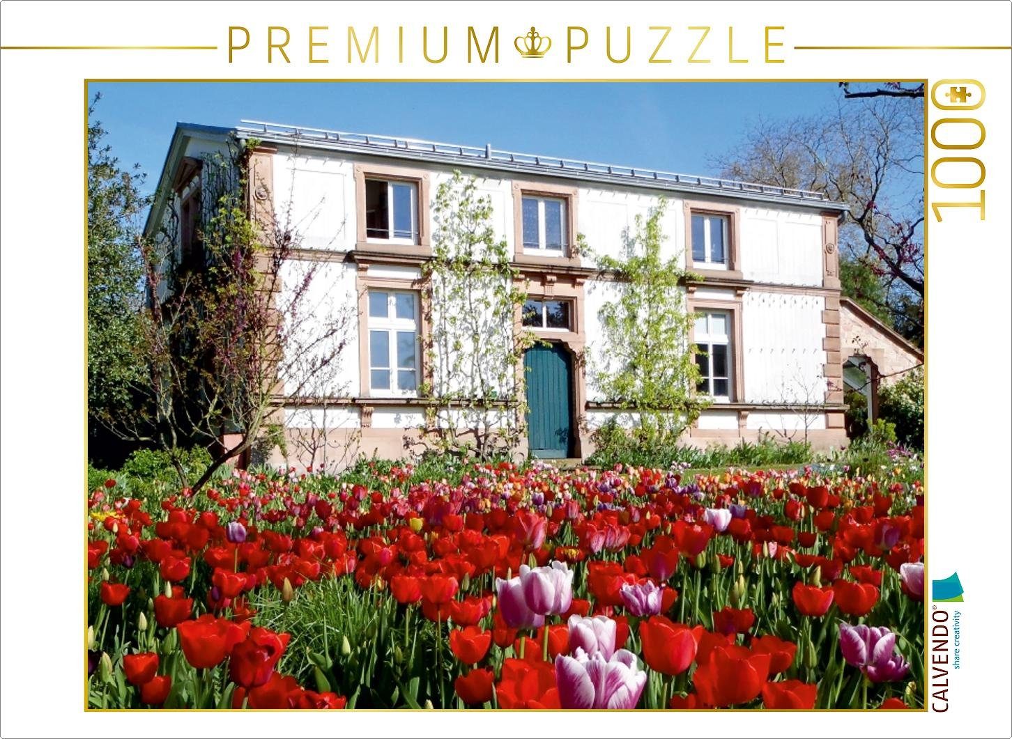 Puzzle CALVENDO Puzzle Tulpenblüte im Sichtungsgarten Hermannshof in Weinheim 1000 Teile Lege-Größe 64 x 48 cm Foto-Puzzle Bild von Ilona Andersen