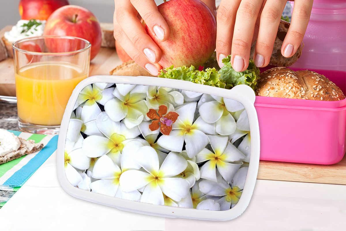 MuchoWow Lunchbox weißen Kunststoff, für Brotdose Kunststoff Brotbox gelben Erwachsene, Muster und rosa Kinder, (2-tlg), Mädchen, Plumeria-Blüten, aus Snackbox,