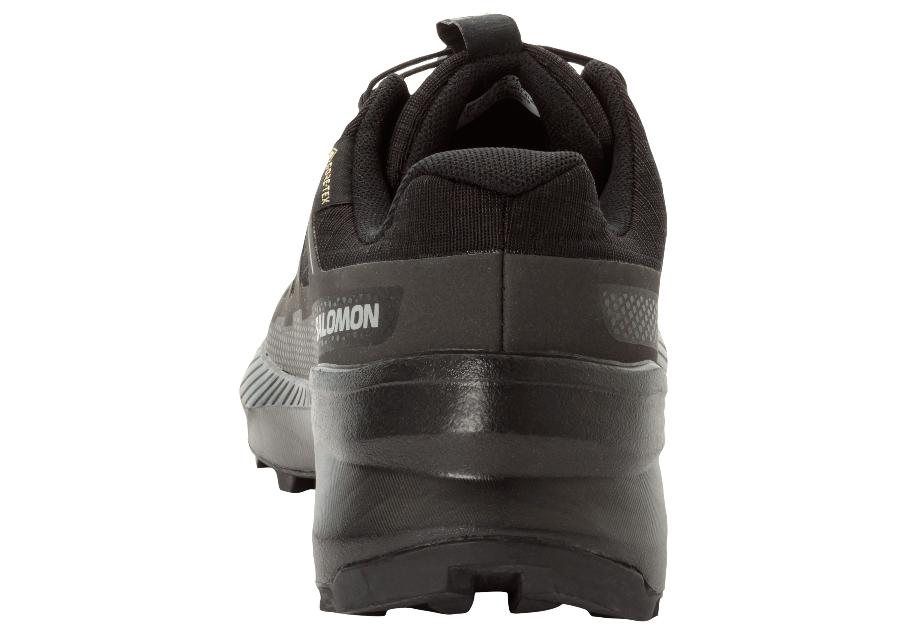 Salomon SPEEDCROSS PEAK GORE-TEX Laufschuh wasserdicht