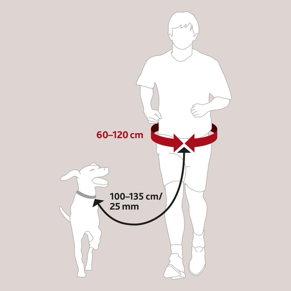 TRIXIE Joggingleine Bauchgurt mit Leine - schwarz/grafit - Gurt: 60–120 cm/50 mm, Leine: