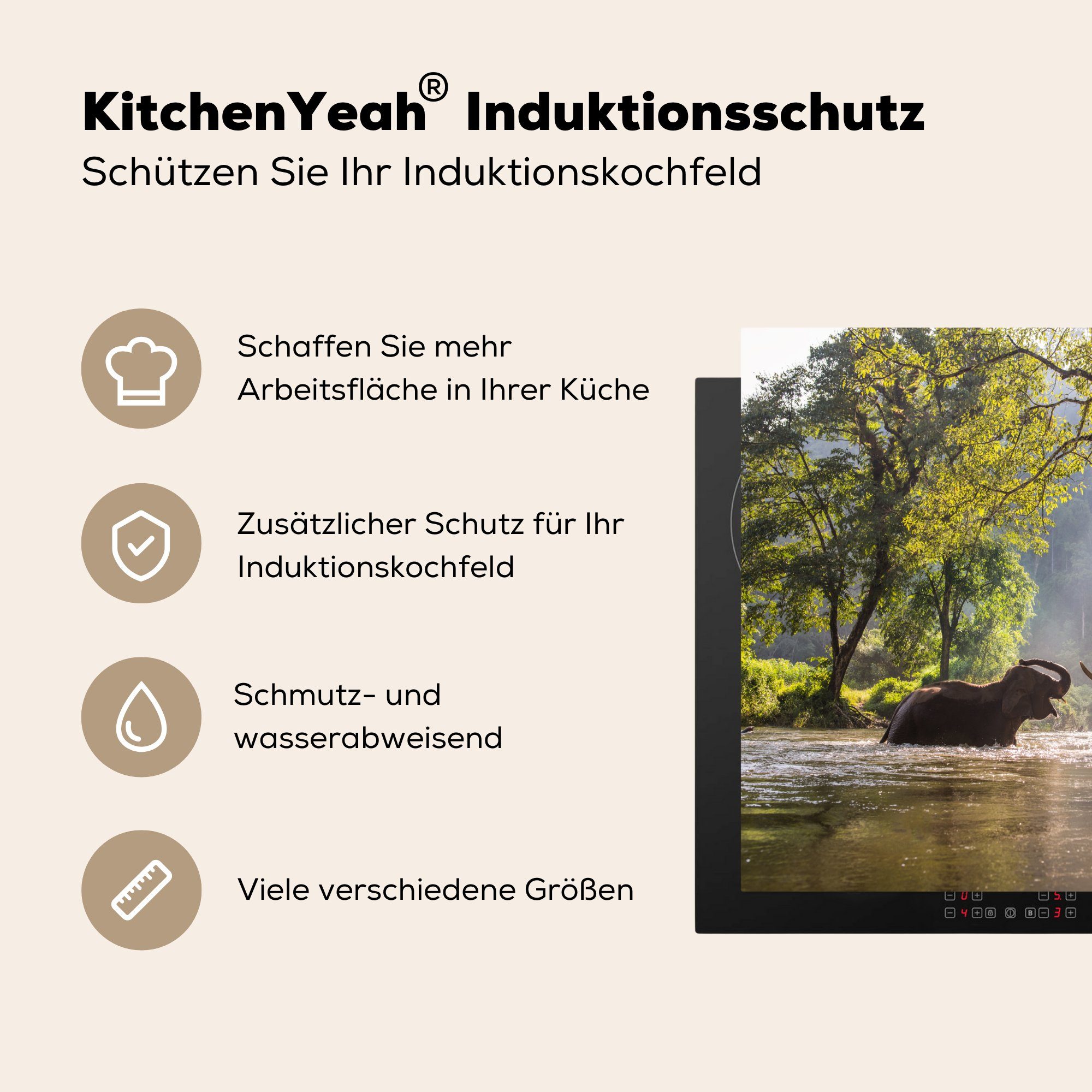 küche, tlg), die Elefant Induktionsmatte - Vinyl, MuchoWow - (1 Herdblende-/Abdeckplatte - 59x52 - Sonne, Wasser Ceranfeldabdeckung für Tiere cm, Bäume