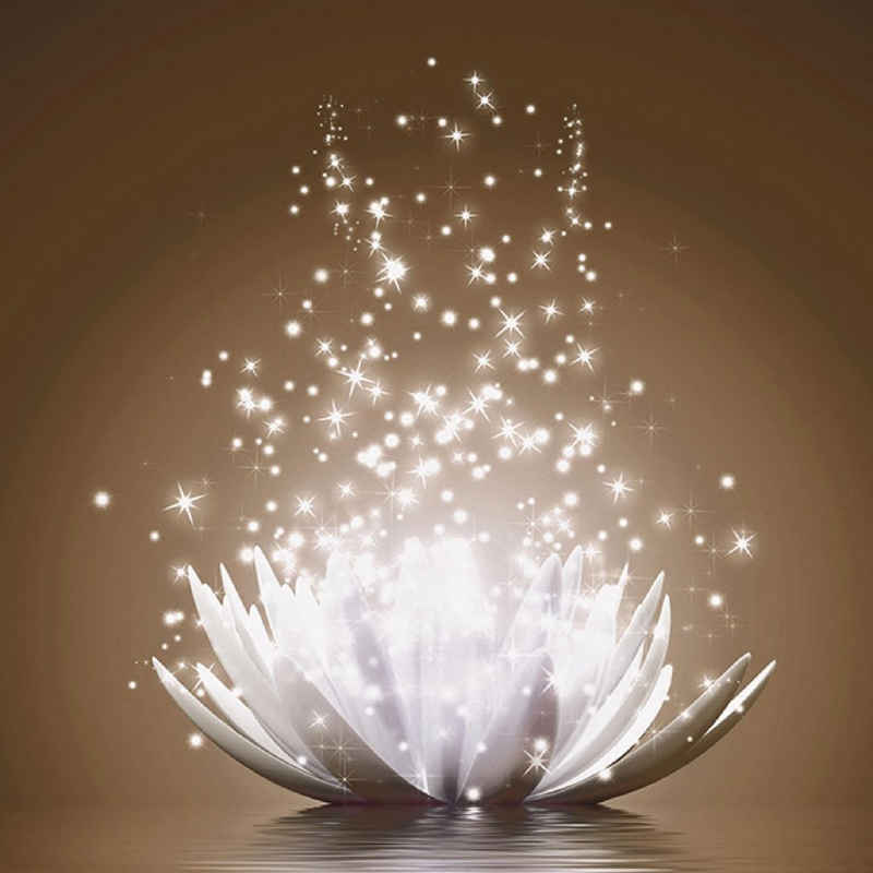 Home affaire Bild »V. Georgiev: Magie der Lotus-Blume«