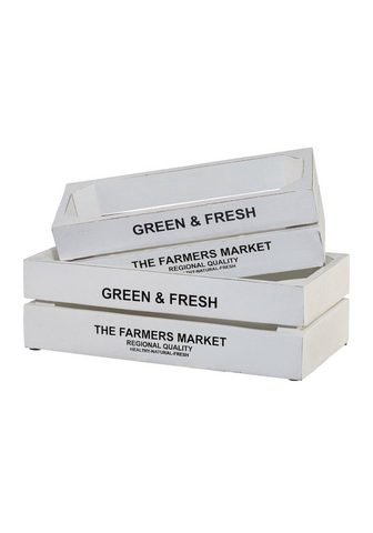  Kiste »Green&Fresh« (Н...