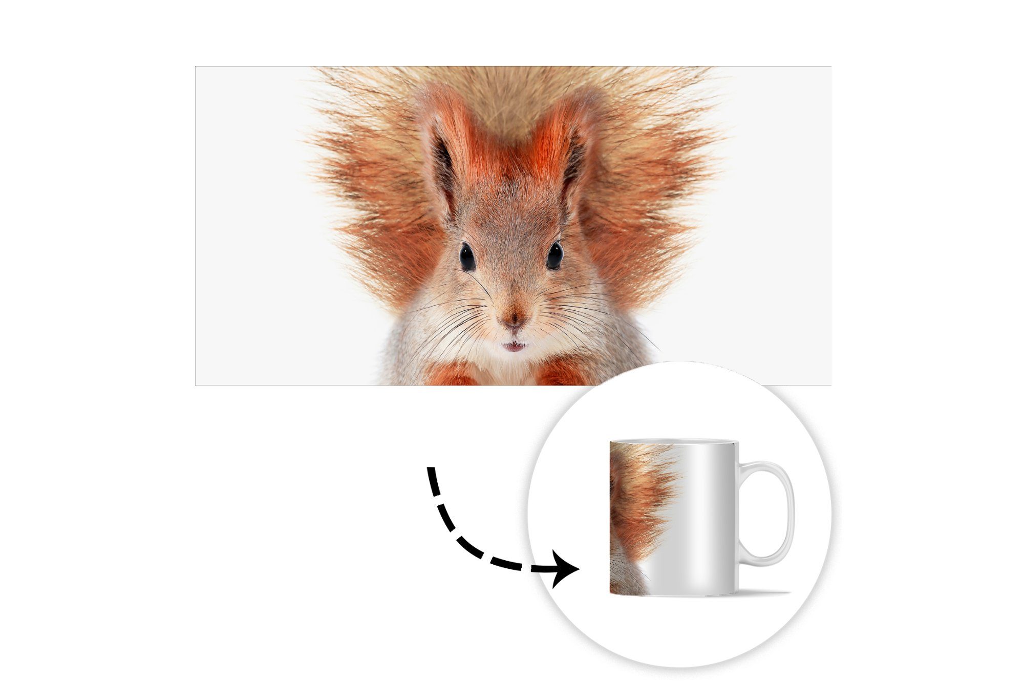 MuchoWow Tasse Eichhörnchen - - Keramik, Kaffeetassen, Tiere Natur Geschenk Orange - Teetasse, Becher, - Teetasse, Weiß