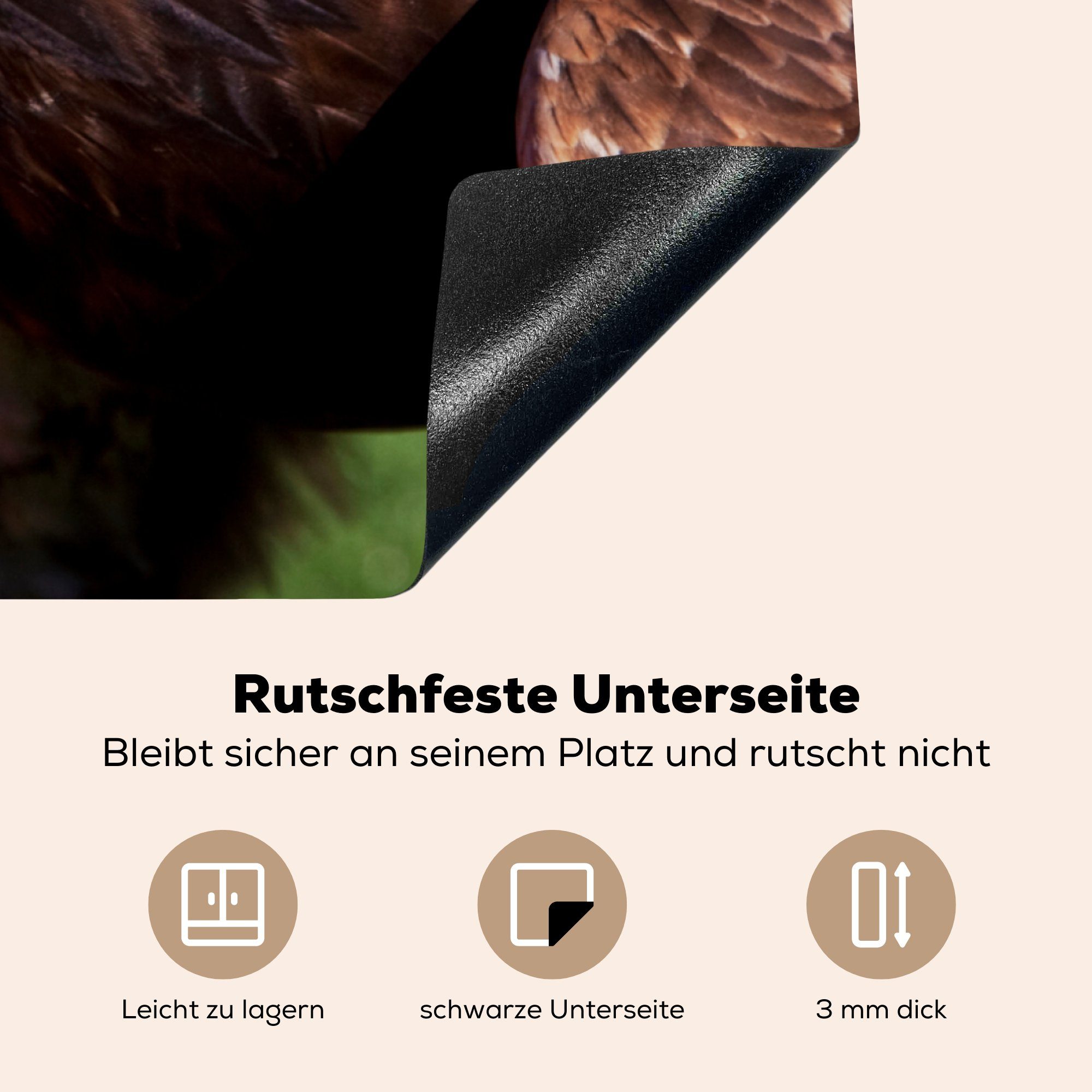 MuchoWow Herdblende-/Abdeckplatte Vogel - Adler küche 78x78 - für cm, Arbeitsplatte (1 Gras, Vinyl, tlg), Ceranfeldabdeckung