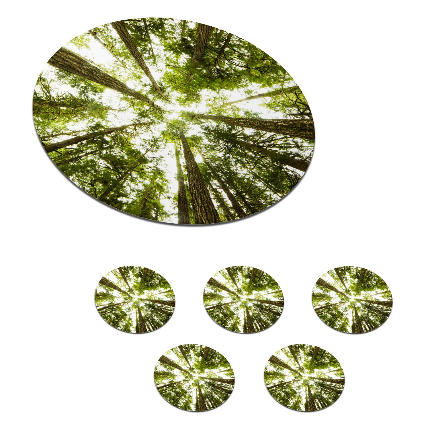 MuchoWow Glasuntersetzer Hohe grüne Bäume Tassenuntersetzer, im Korkuntersetzer, Gläser, Becher Dschungel, Tasse, Getränkeuntersetzer, für 6-tlg., Zubehör