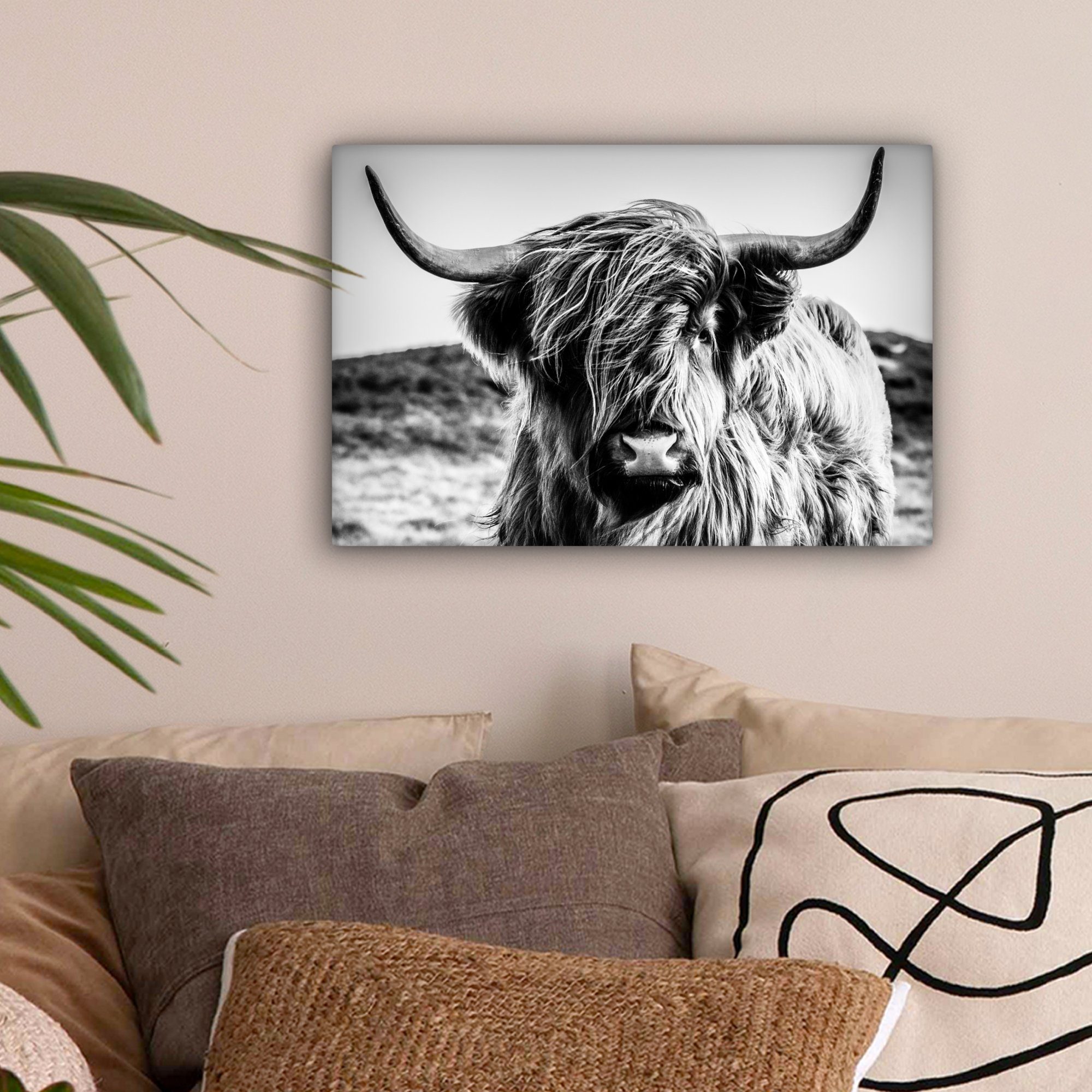 OneMillionCanvasses® Leinwandbild Schottischer Highlander - Natur günstig online kaufen