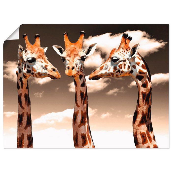 Artland Wandbild Giraffe_sepia Wildtiere (1 St) als Alubild Leinwandbild Wandaufkleber oder Poster in versch. Größen