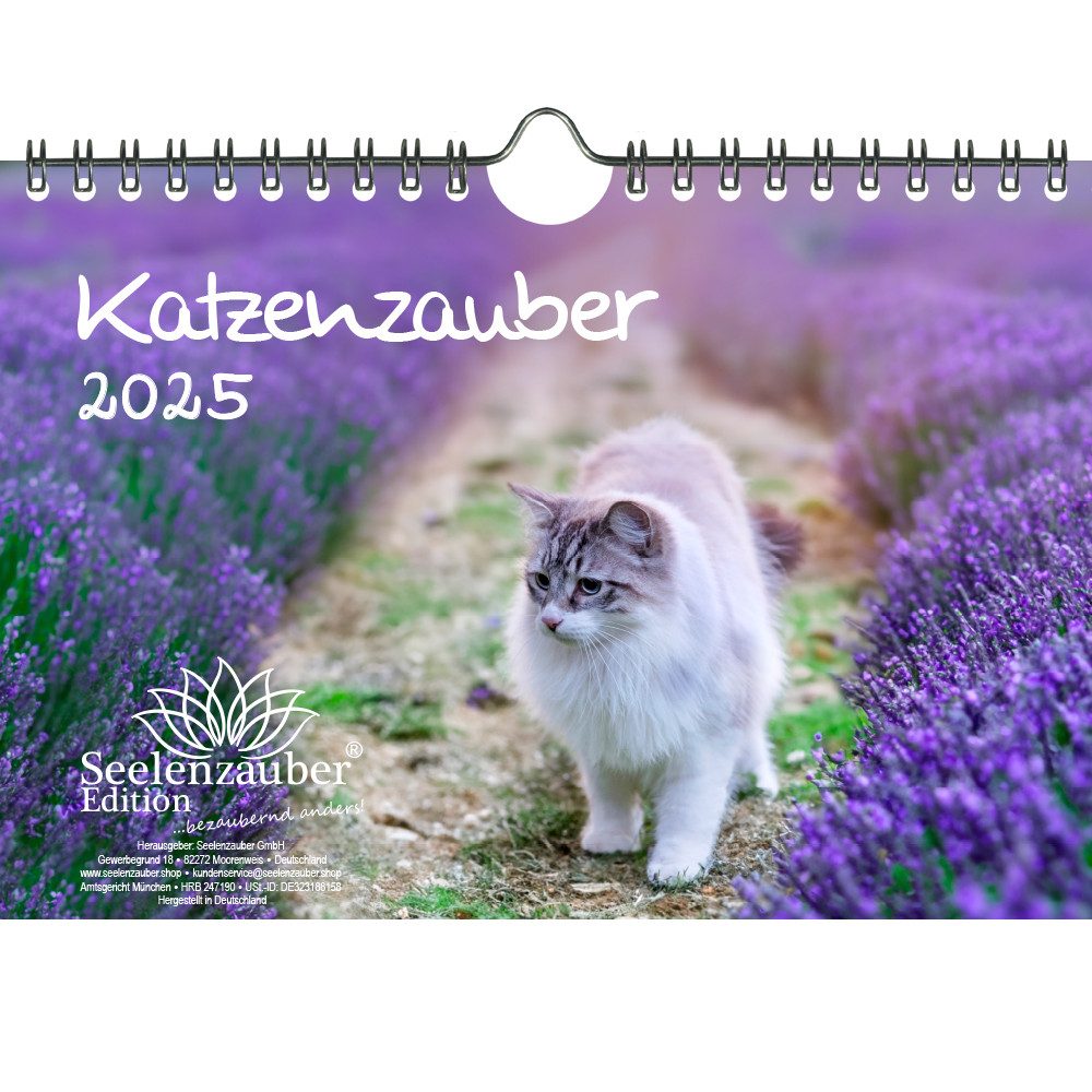 Seelenzauber Wandkalender Katzenzauber DIN A5 Kalender für 2025 Katzen und Katzenbabys