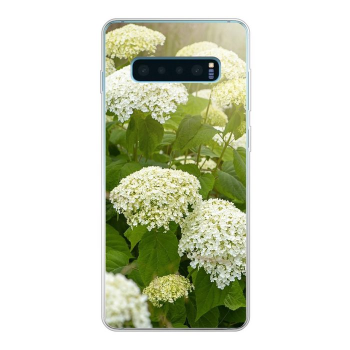 MuchoWow Handyhülle Ein Meer von weißen Hortensien Phone Case Handyhülle Samsung Galaxy S10+ Silikon Schutzhülle
