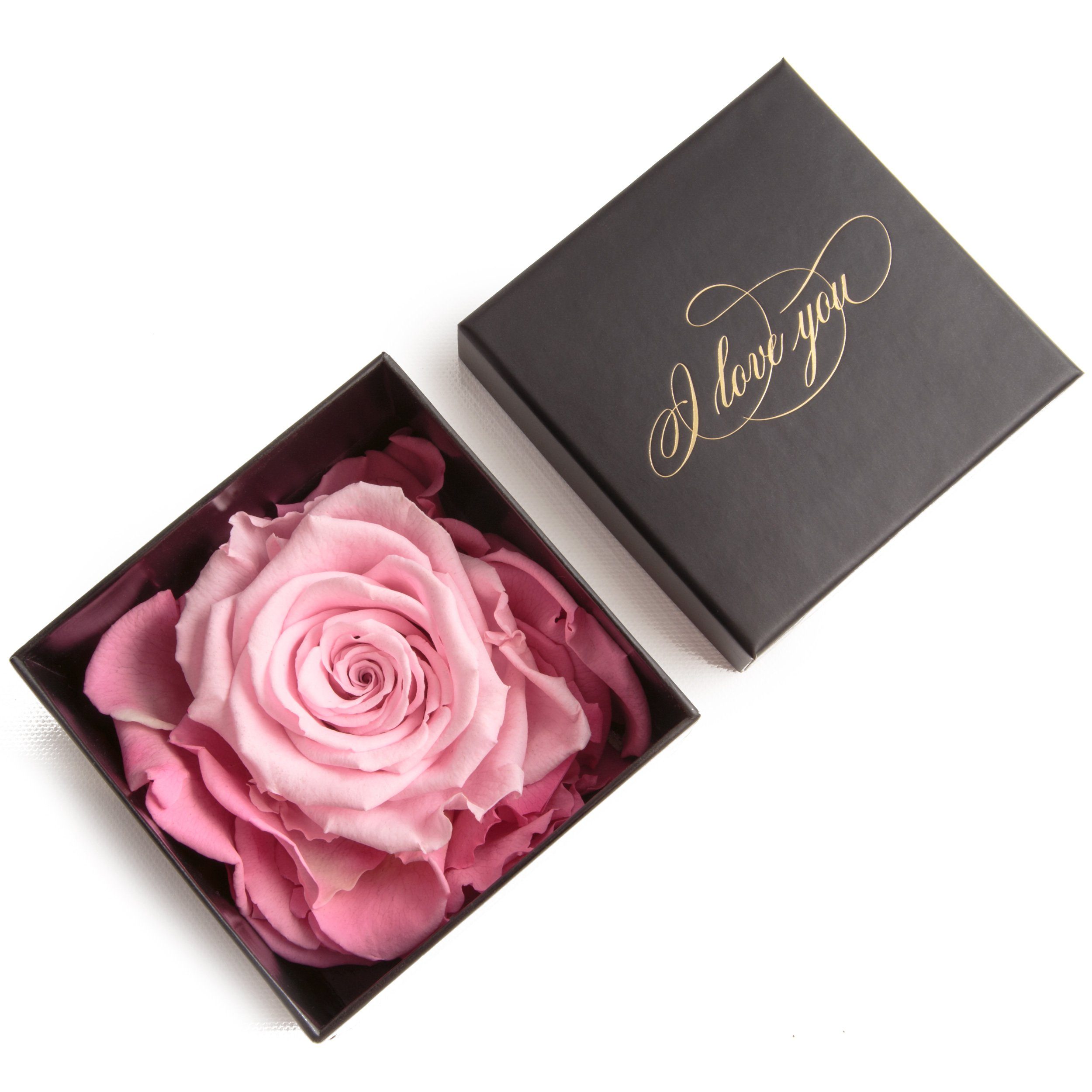 Kunstblume Infinity Rose Box I Love You Geschenk Idee Liebesbeweis Rose, ROSEMARIE SCHULZ Heidelberg, Höhe 6 cm, Echte Rose konserviert Rosa