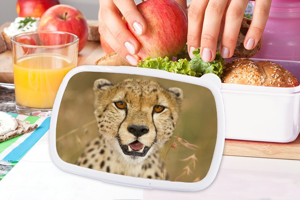 MuchoWow Lunchbox Leopard - Mädchen (2-tlg), - Kunststoff, für und weiß und für Pflanzen, Kopf Brotdose, Kinder Jungs Erwachsene, Brotbox