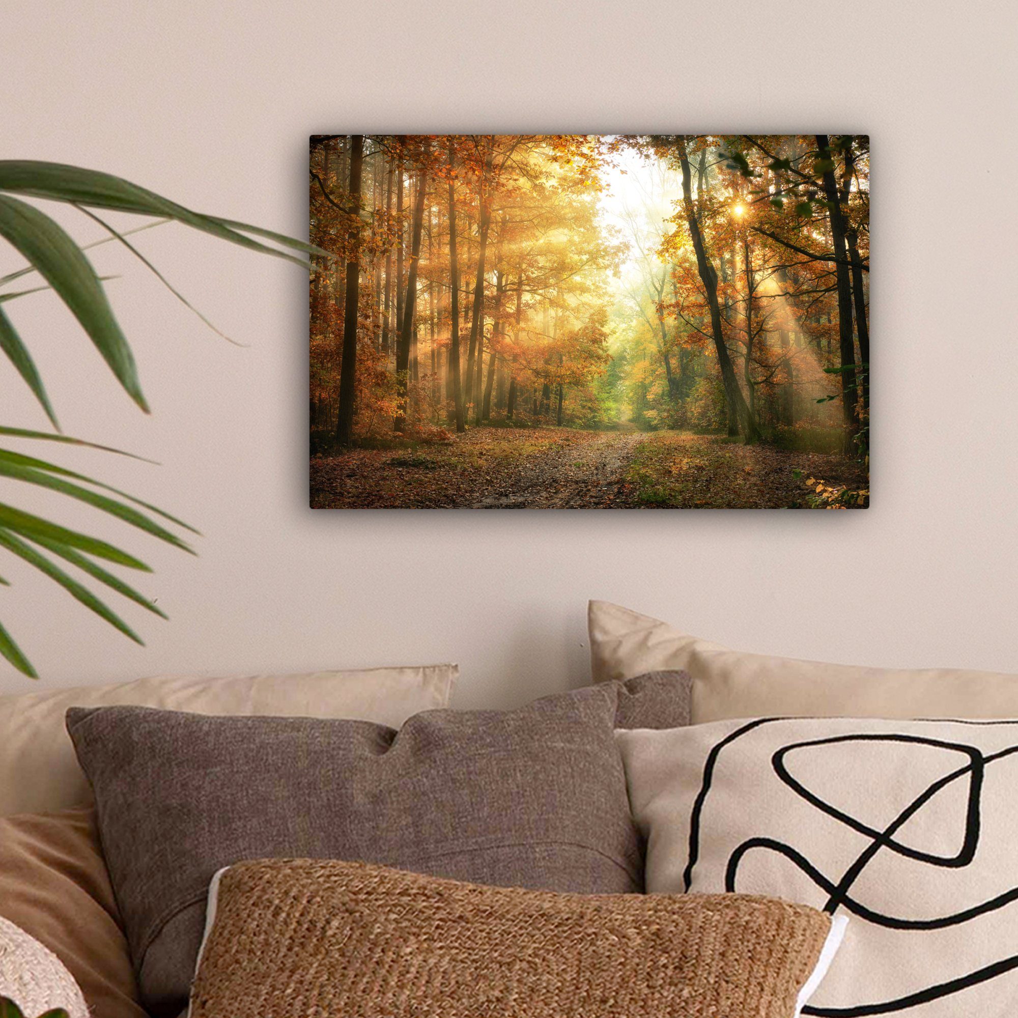 OneMillionCanvasses® Leinwandbild Wald - Herbst - Sonne - Landschaft - Natu günstig online kaufen