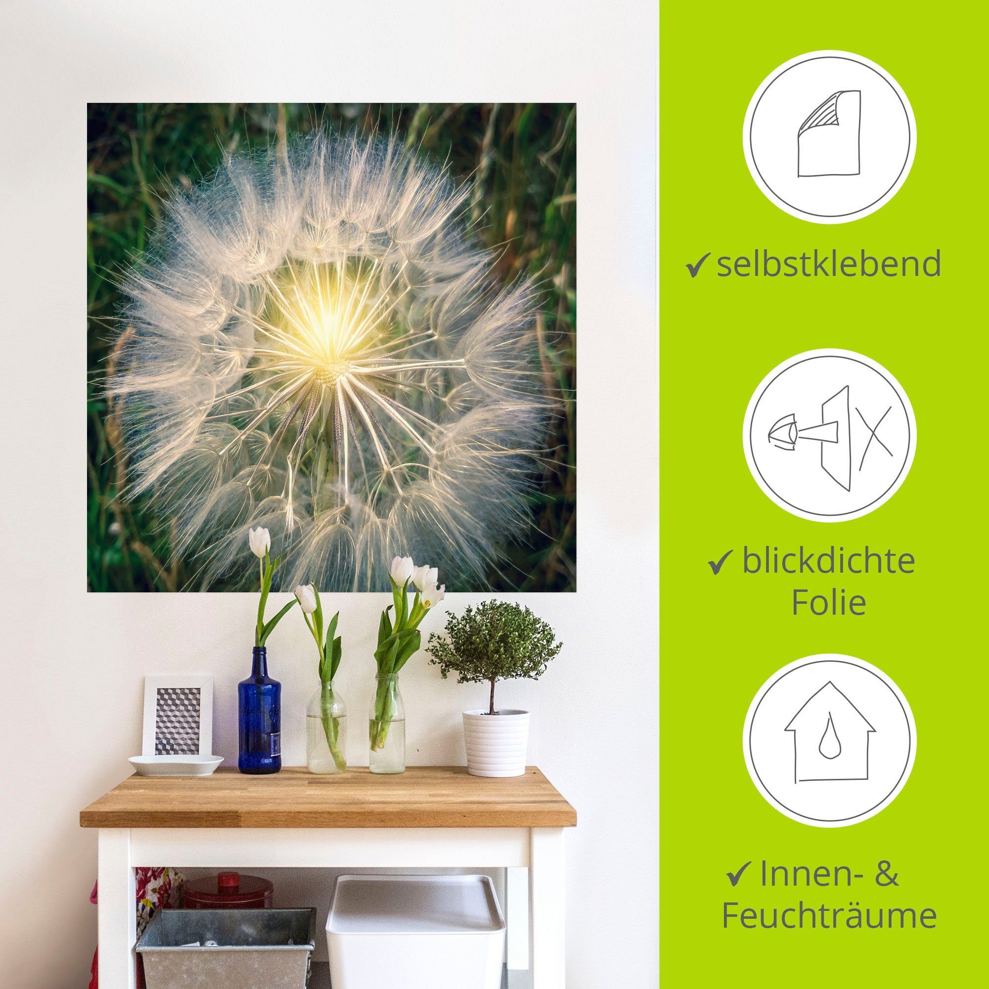 Artland Wandbild Pusteblume Makroaufnahme (1 in Größen mit versch. als Leinwandbild, Licht, Wandaufkleber Alubild, Blumenbilder Poster oder St)