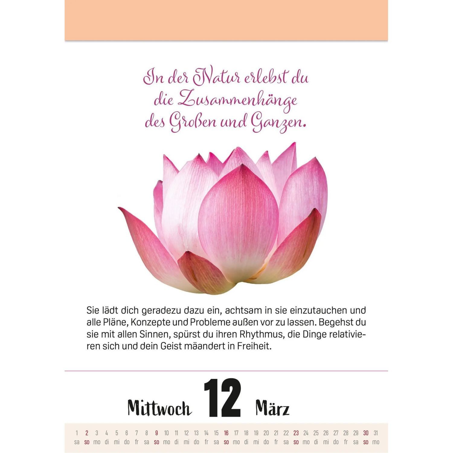 Lingen Abreißkalender Ein Jahr voller Achtsamkeit Abreißkalender 2027 - Abreißkalender... – Bild 2 von 3
