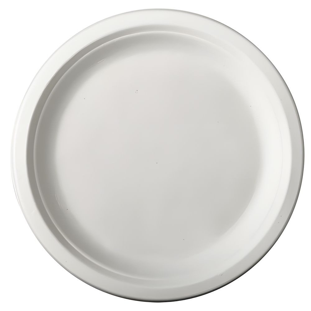 PAPSTAR Einwegteller Teller, Zuckerrohr pure ungeteilt Ø 26 cm, 2 cm weiss 50 Stk