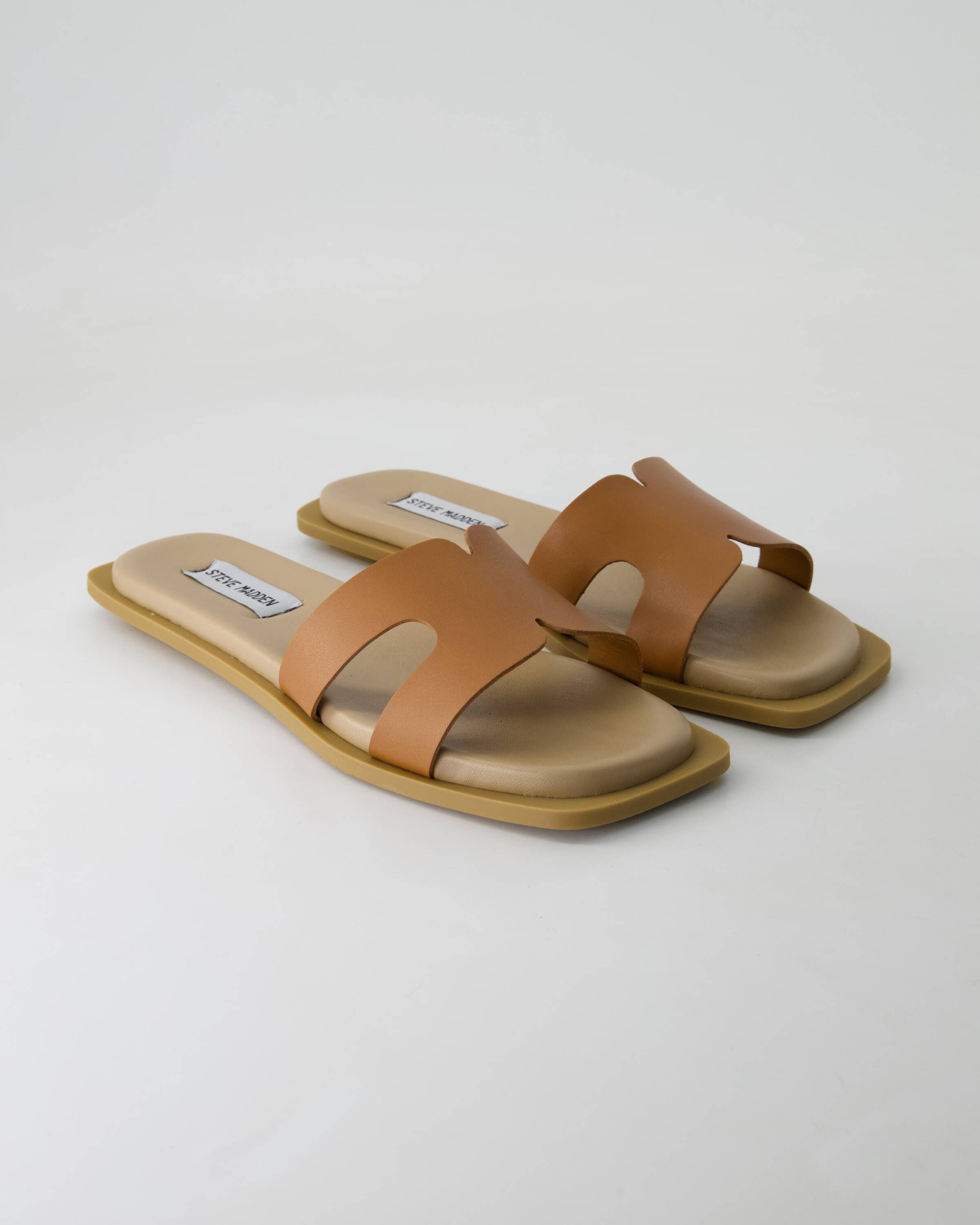 STEVE MADDEN Sofia Pantolette Obermaterial: Leder günstig online kaufen