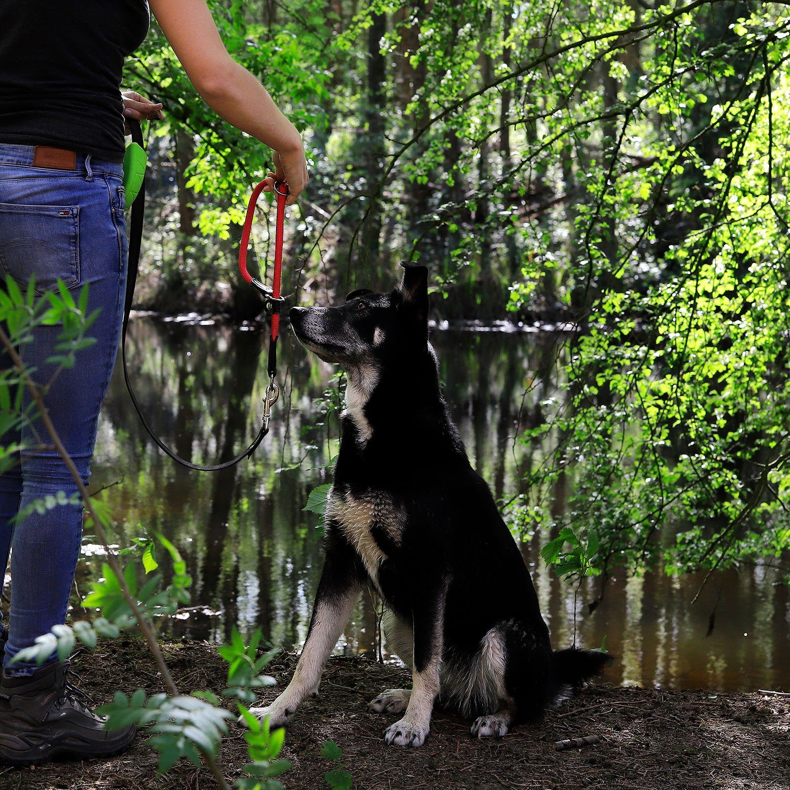 lionto Hunde-Halsband mit Zugstopp, Retrieverhalsband, Nylon, verstellbar & leicht mit Stoppring