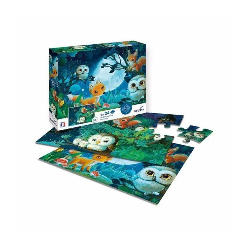 BrainBox Puzzle Tiere in der Nacht 2x24 Teile Puzzle, 24 Puzzleteile günstig online kaufen