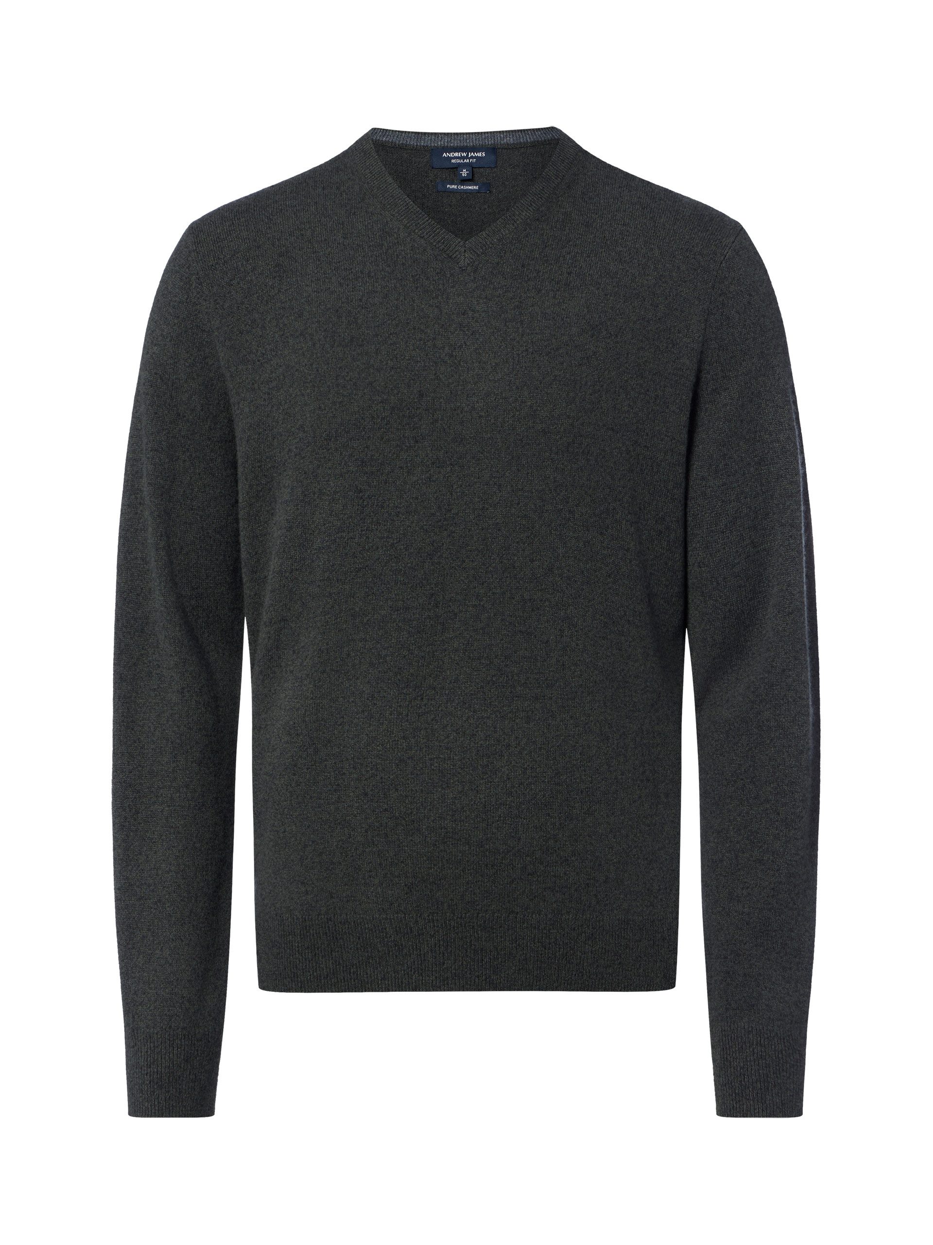 Andrew James Strickpullover