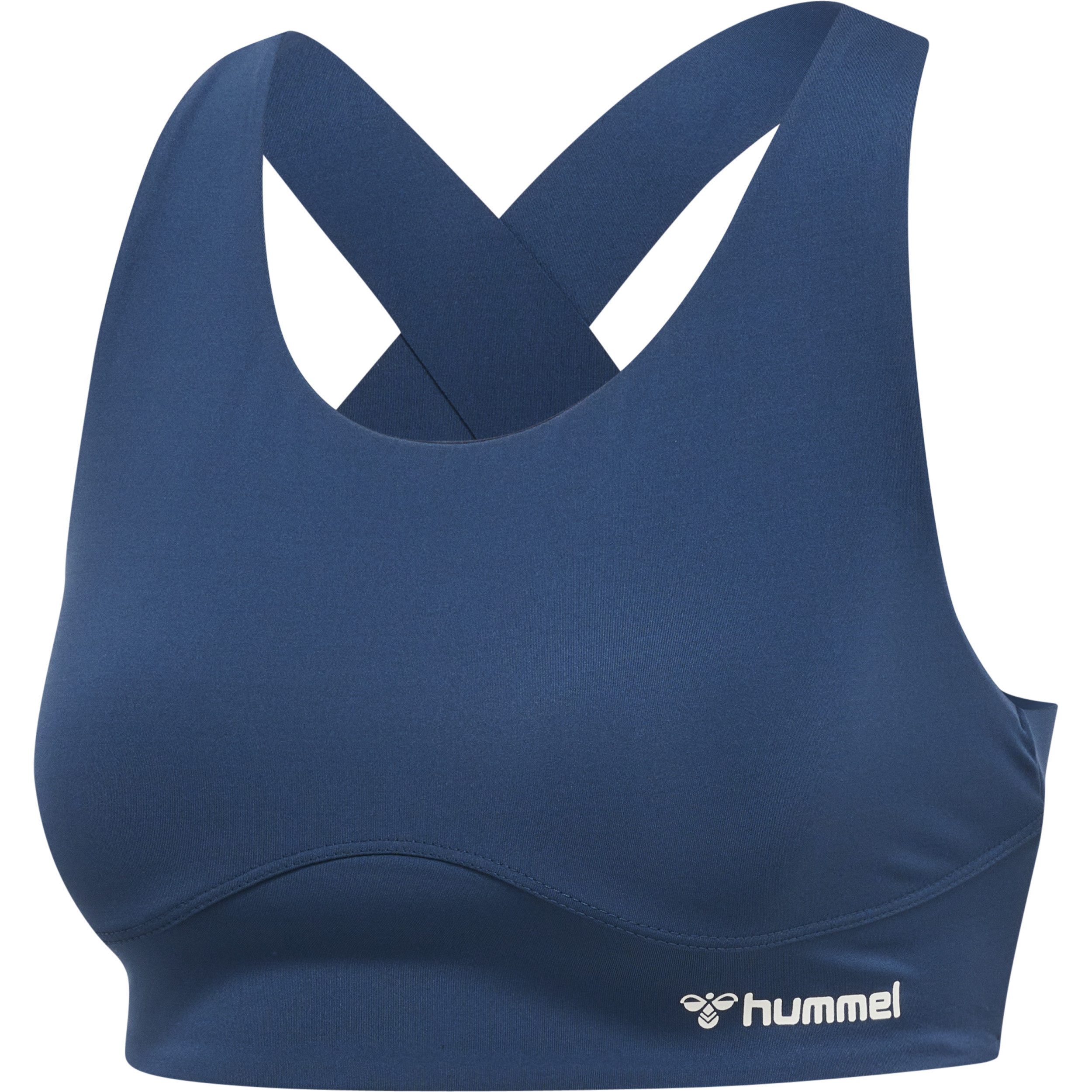 Insignia Blue