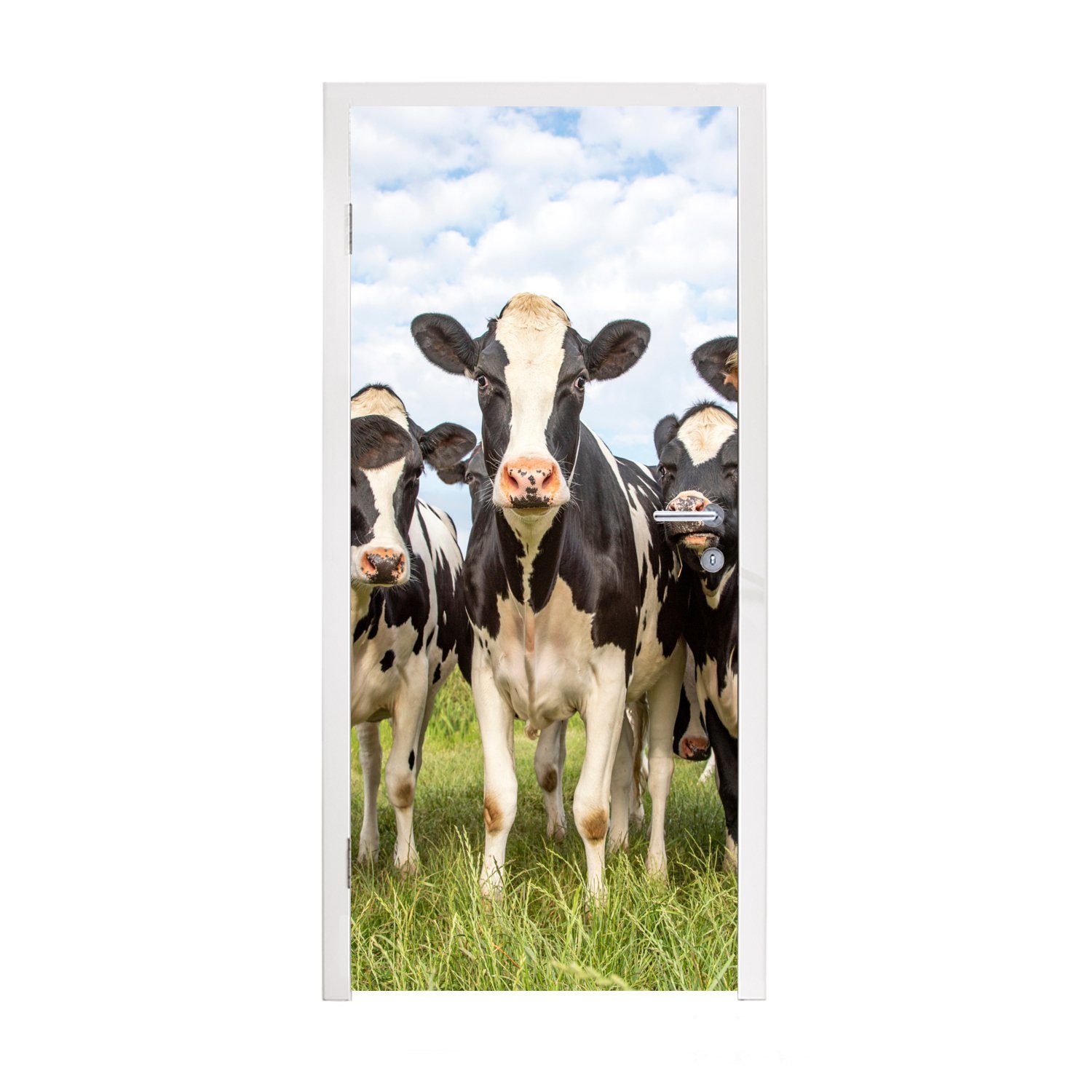 MuchoWow Türtapete Kühe - Weide - Tiere - Natur - Gras, Matt, bedruckt, (1 St), Fototapete für Tür, Türaufkleber, 75x205 cm