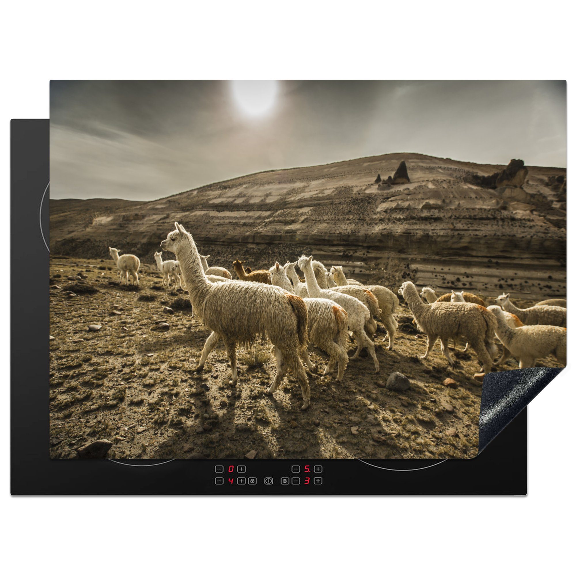 MuchoWow Herdblende-/Abdeckplatte Lamas in der Colca-Schlucht in Peru, Vinyl, (1 tlg), 70x52 cm, Mobile Arbeitsfläche nutzbar, Ceranfeldabdeckung