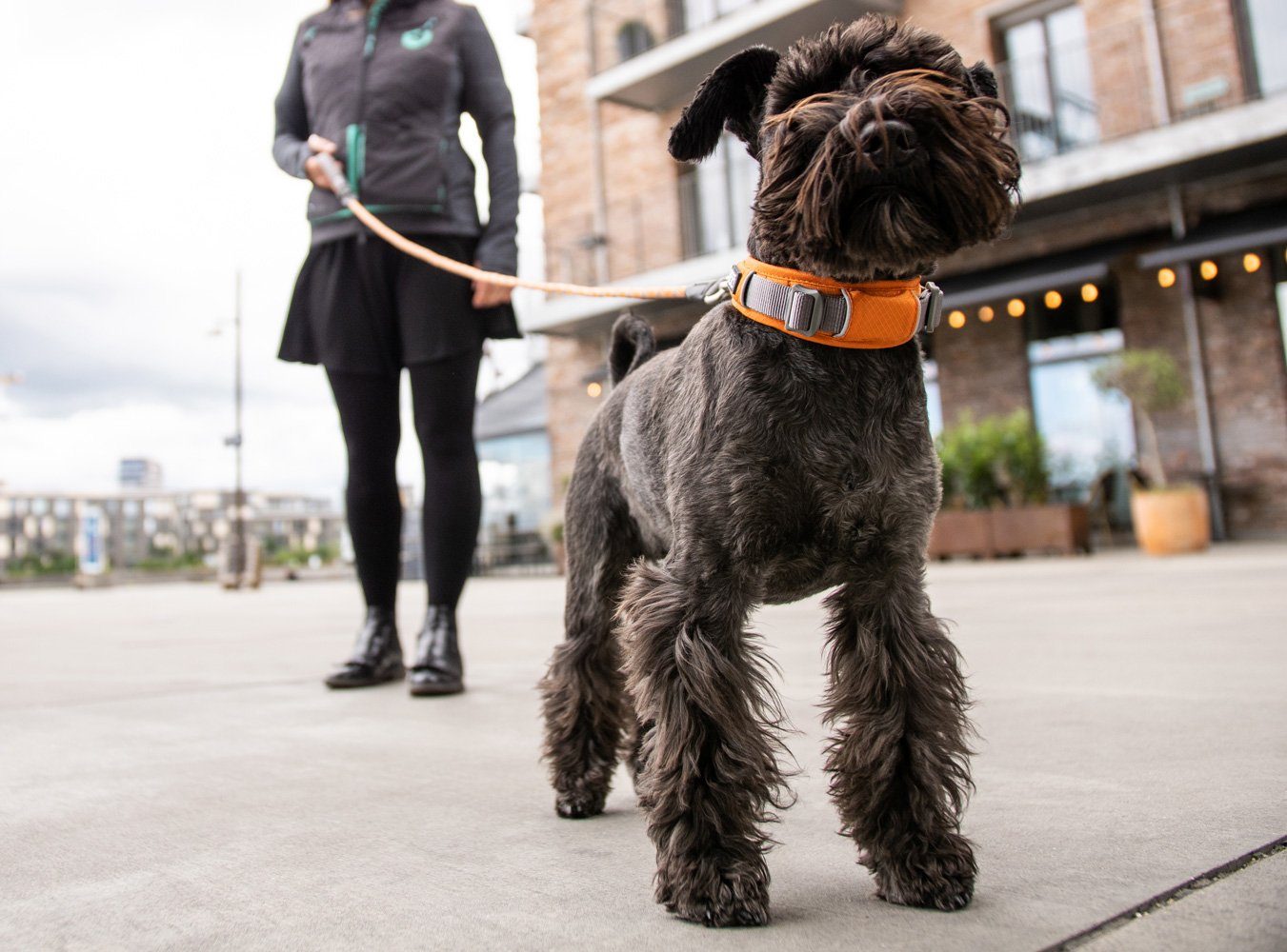 Dog Copenhagen Hunde-Halsband DOG Copenhagen V2 Explorer Collar Hundehalsband Halsband für Hunde