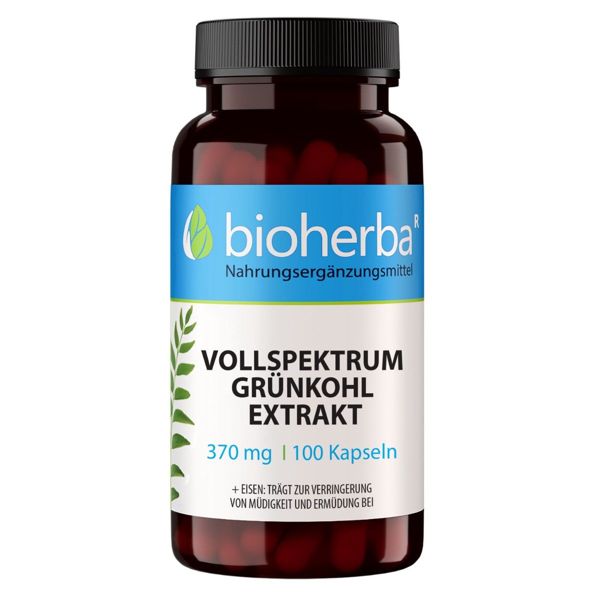 BIOHERBA R Vollspektrum Grünkohl Extrakt 370 mg 100 Kapseln Nahrungsergänzungsmittel