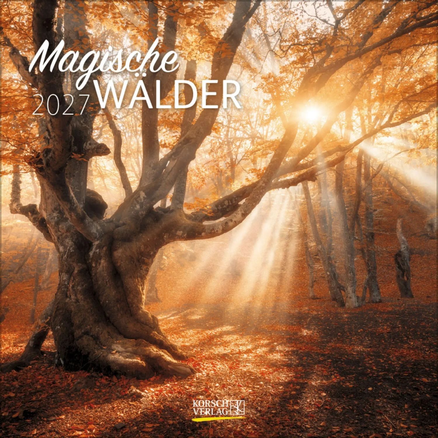 Korsch Verlag Wandkalender Magische Wälder 2027