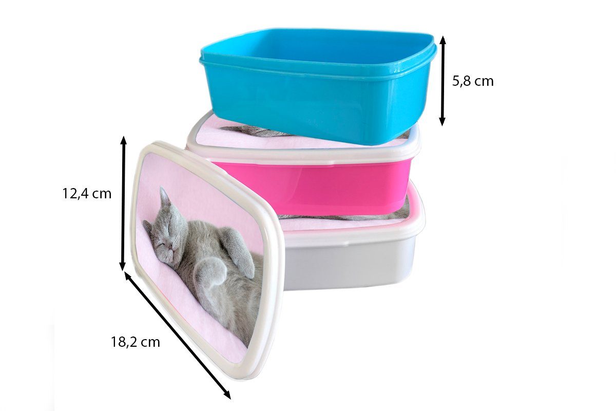 MuchoWow Brotbox Kinder Lunchbox auf Katze Mädchen für für und und weiß rosa Teppich, Jungs Kunststoff, Erwachsene, Graue schläft Brotdose, (2-tlg),