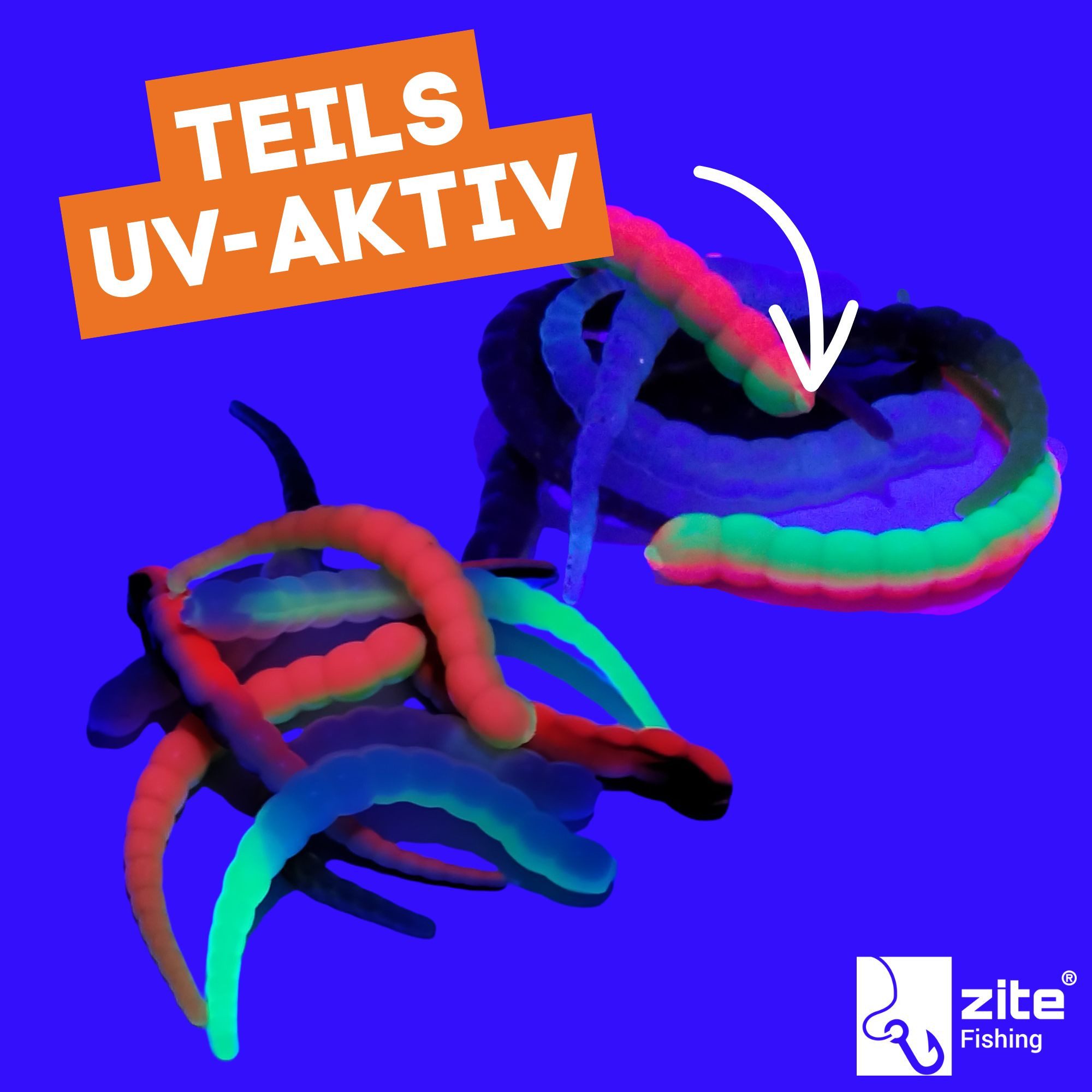 Zite Kunstköder Curly Viper UL Forellenköder 5 Sorten mit 2 Rotationshaken Gr. 4, (Starter-Set)