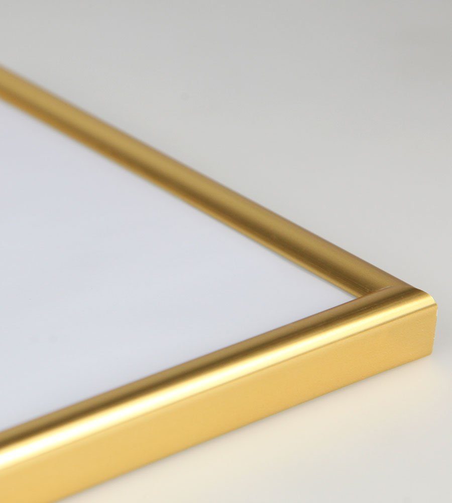 Leichter TREND Schutz ohne mit Gold Komp Classic Plexiglas IDEAL Bilderrahmen Kunststoffbilderrahmen