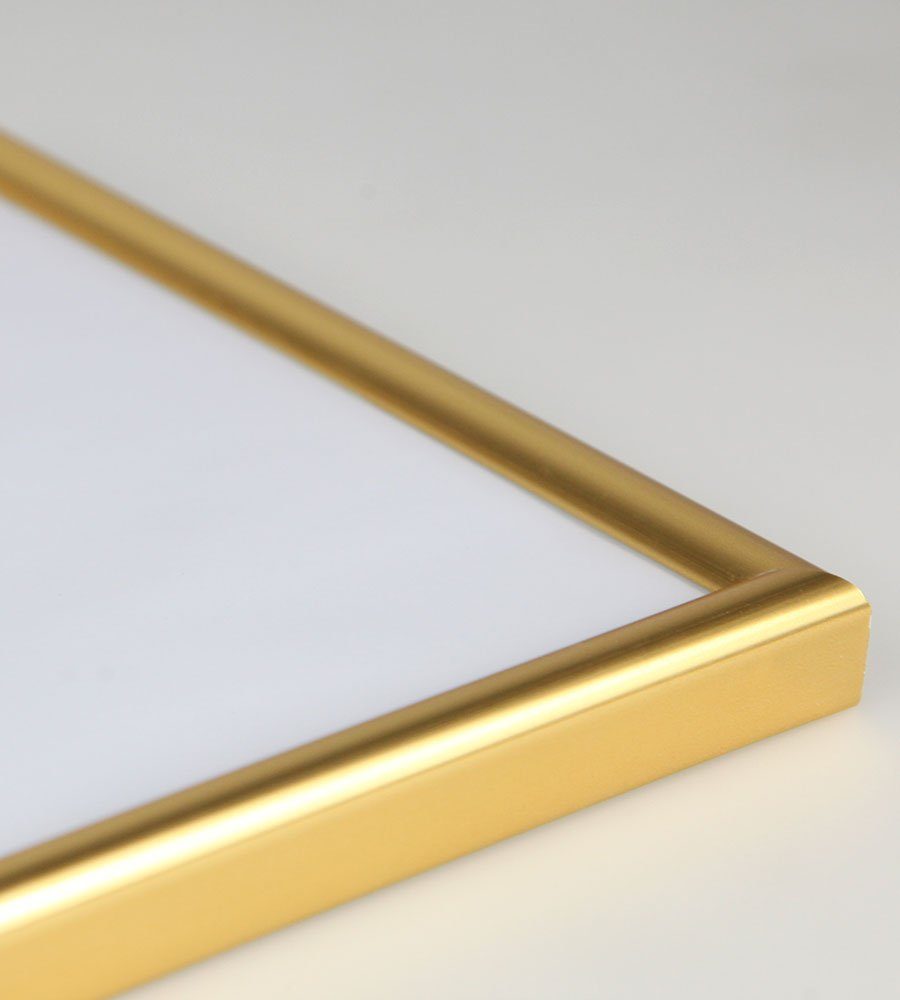 Plexiglas Classic Kunststoffbilderrahmen ohne Schutz Bilderrahmen Gold mit Leichter Komp IDEAL TREND