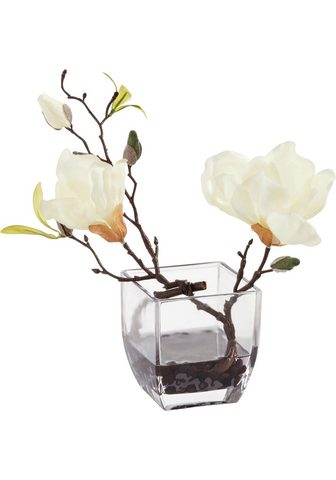  Искусственное растение »Magnolie...