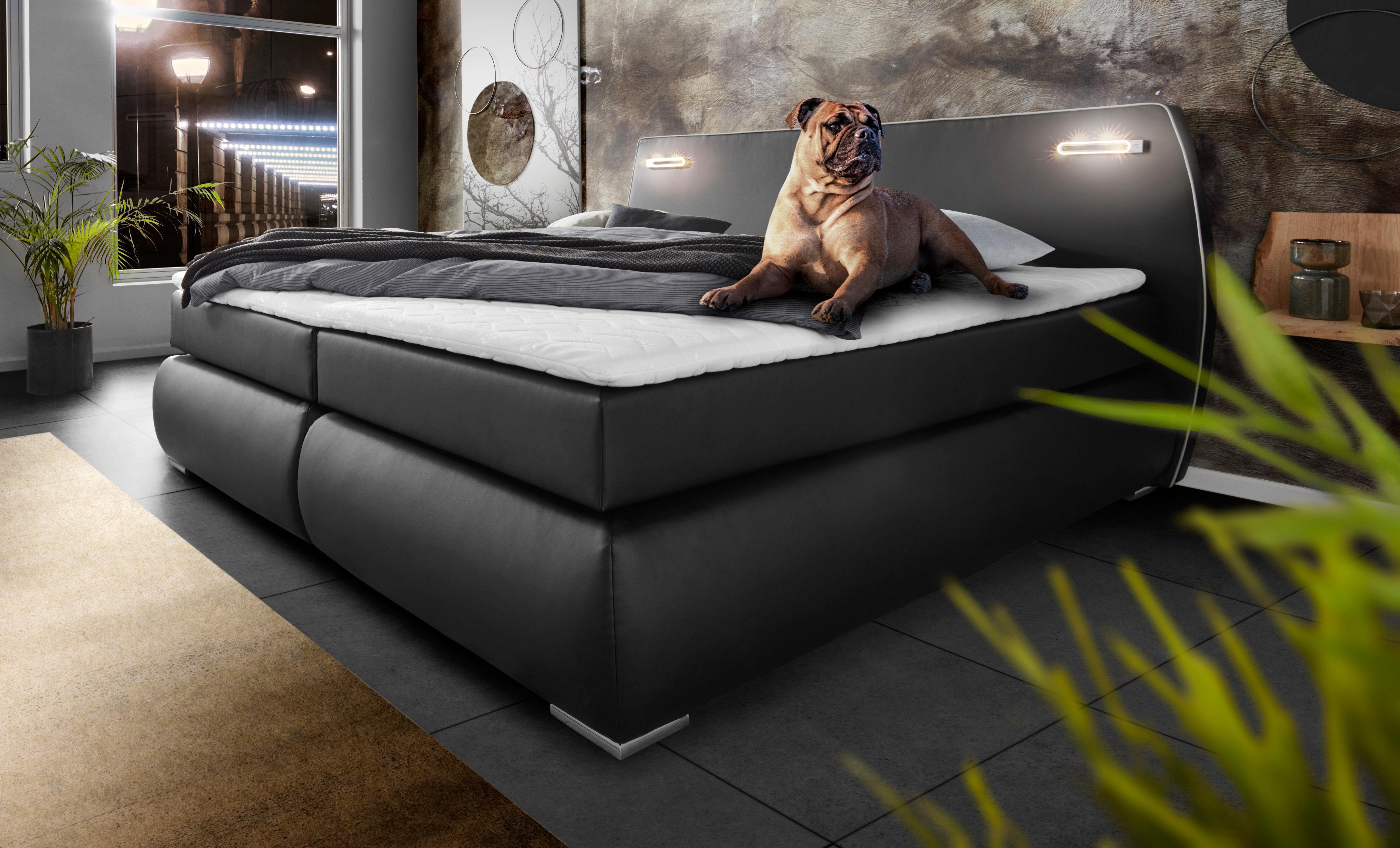 INOSIGN Boxspringbett BLACK&WHITE - Einrichtungsbeispiel