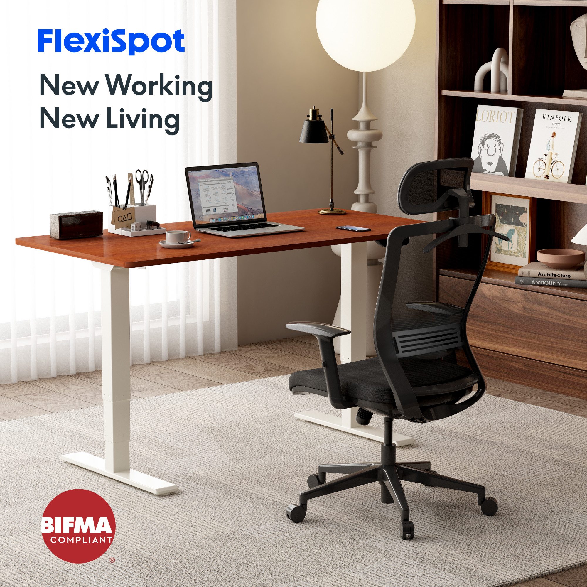 FLEXISPOT Bürostuhl Ergonomischer Schreibtischstuhl (verstellbare Rückenleh günstig online kaufen