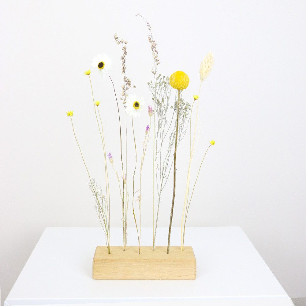 Trockenblume Flowerbar Sommerwiese, Trockenblumen & edle günstig online kaufen