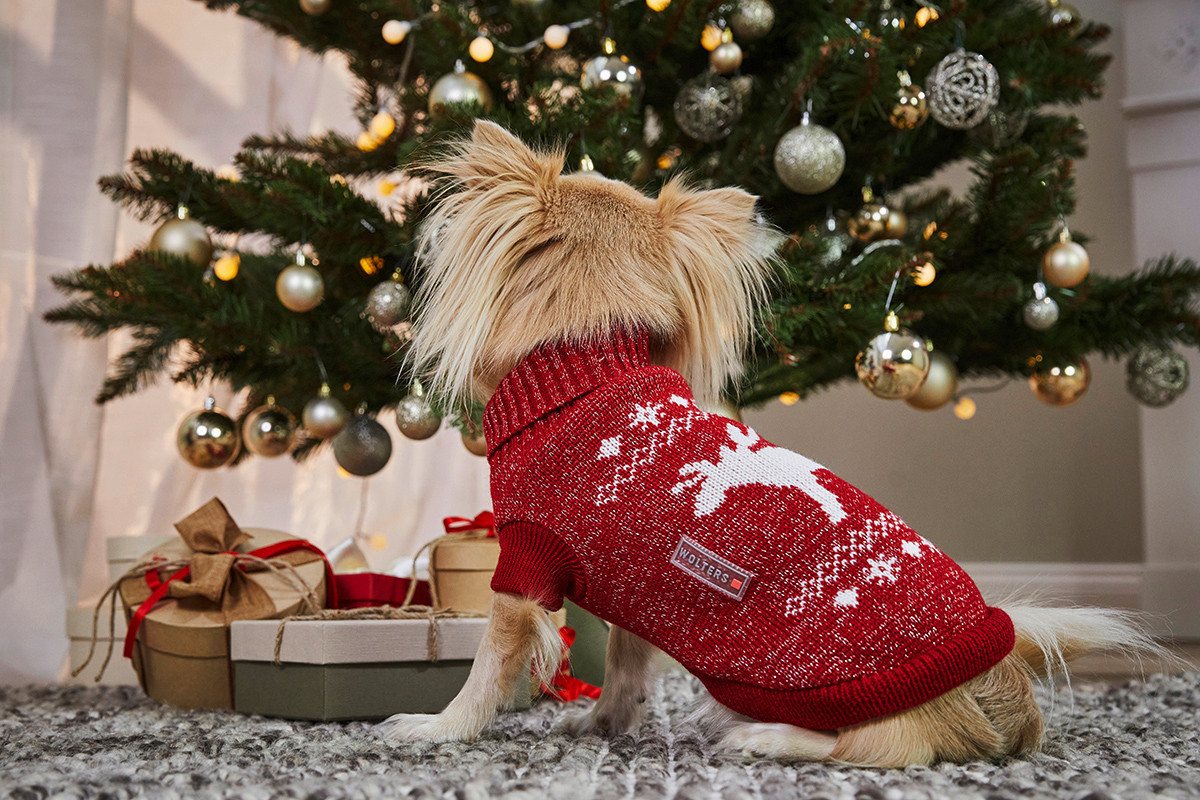 Thumbnail - Wolters Hundepullover Strickpullover Elch mit Glitzer