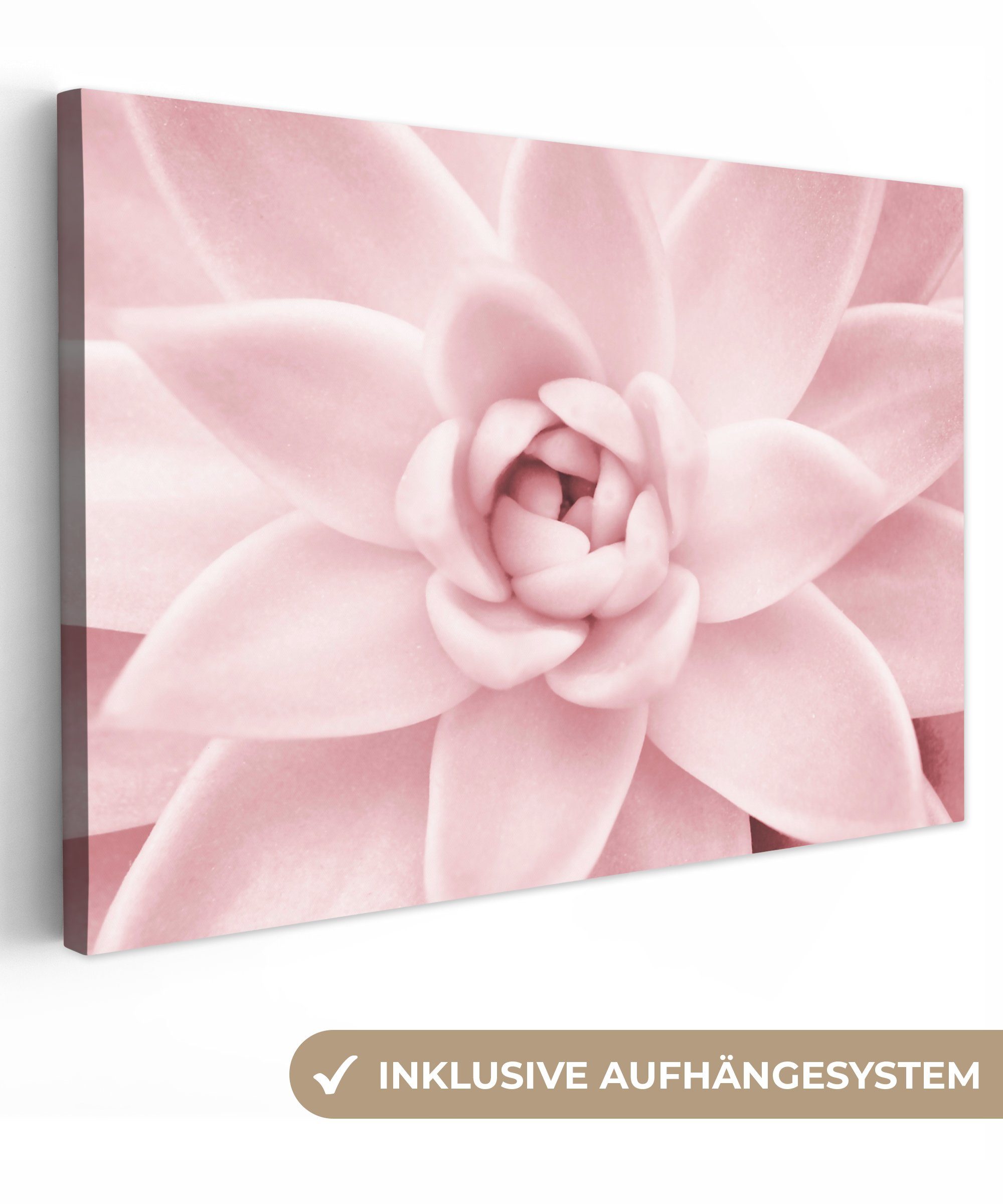 OneMillionCanvasses® Leinwandbild Blume - Rosa - günstig online kaufen