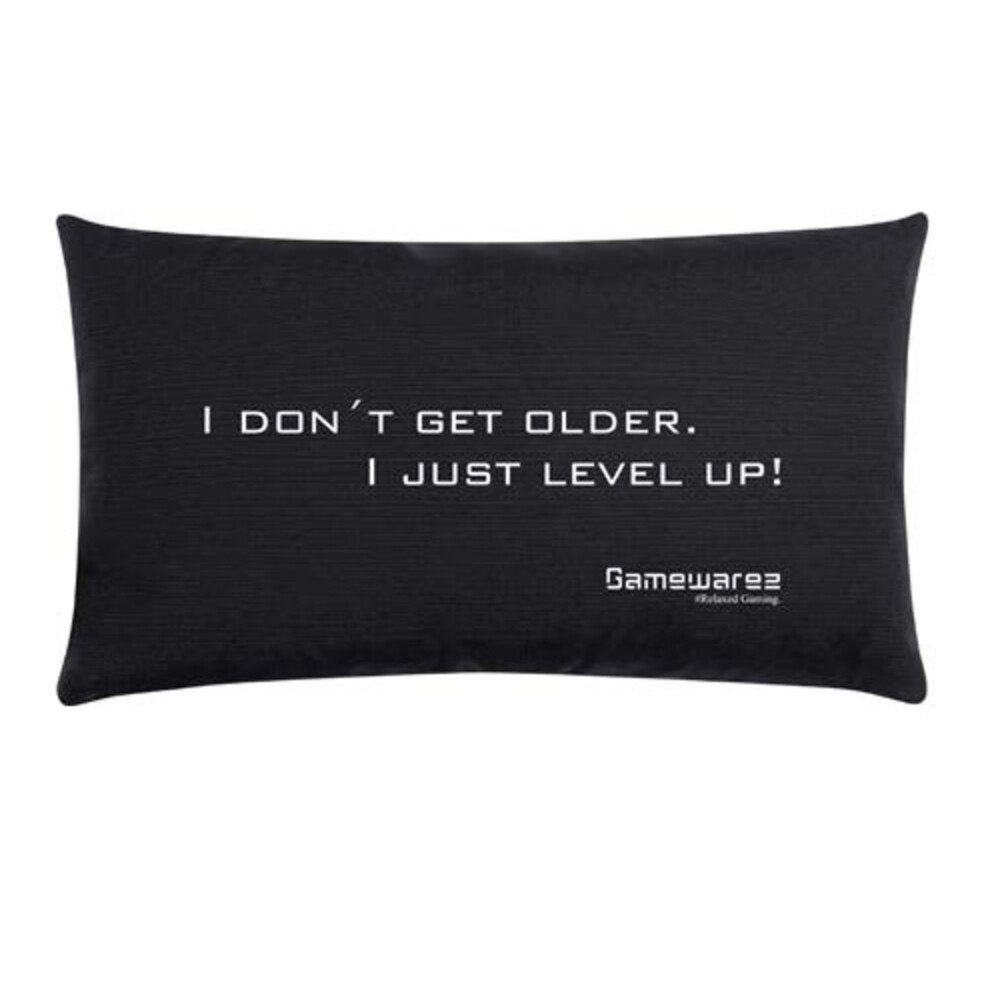 GAMEWAREZ Sitzsack Gaming Kissen "I don’t get older. I just Level up!", schwarz, 30x50cm