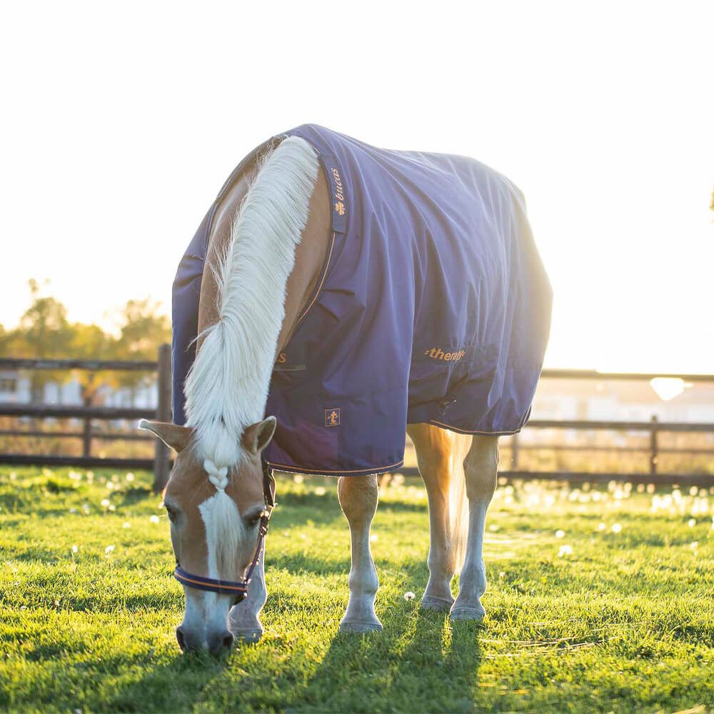 Bucas Pferde-Regendecke Bucas Therapy Turnout Big Neck Light 0g