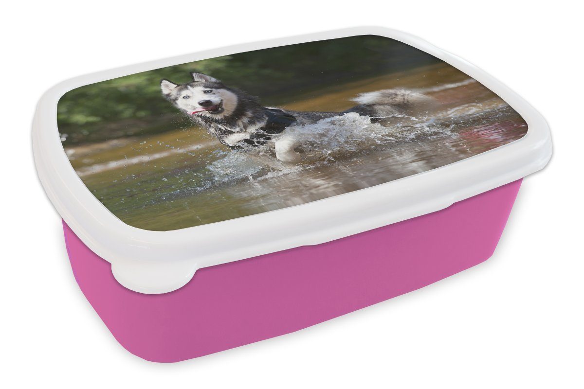 MuchoWow Lunchbox Husky im Wasser, Snackbox, Kunststoff, rosa Mädchen, Kinder, Kunststoff (2-tlg), für Erwachsene, Brotbox Brotdose