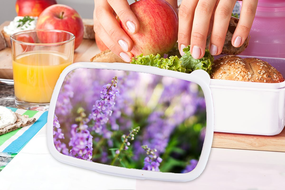 Brotbox Kinder Brotdose, ganzem und einem Erwachsene, Jungs für von Mädchen und Lunchbox (2-tlg), Nahaufnahme Feld, Lavendel in für MuchoWow Kunststoff, weiß