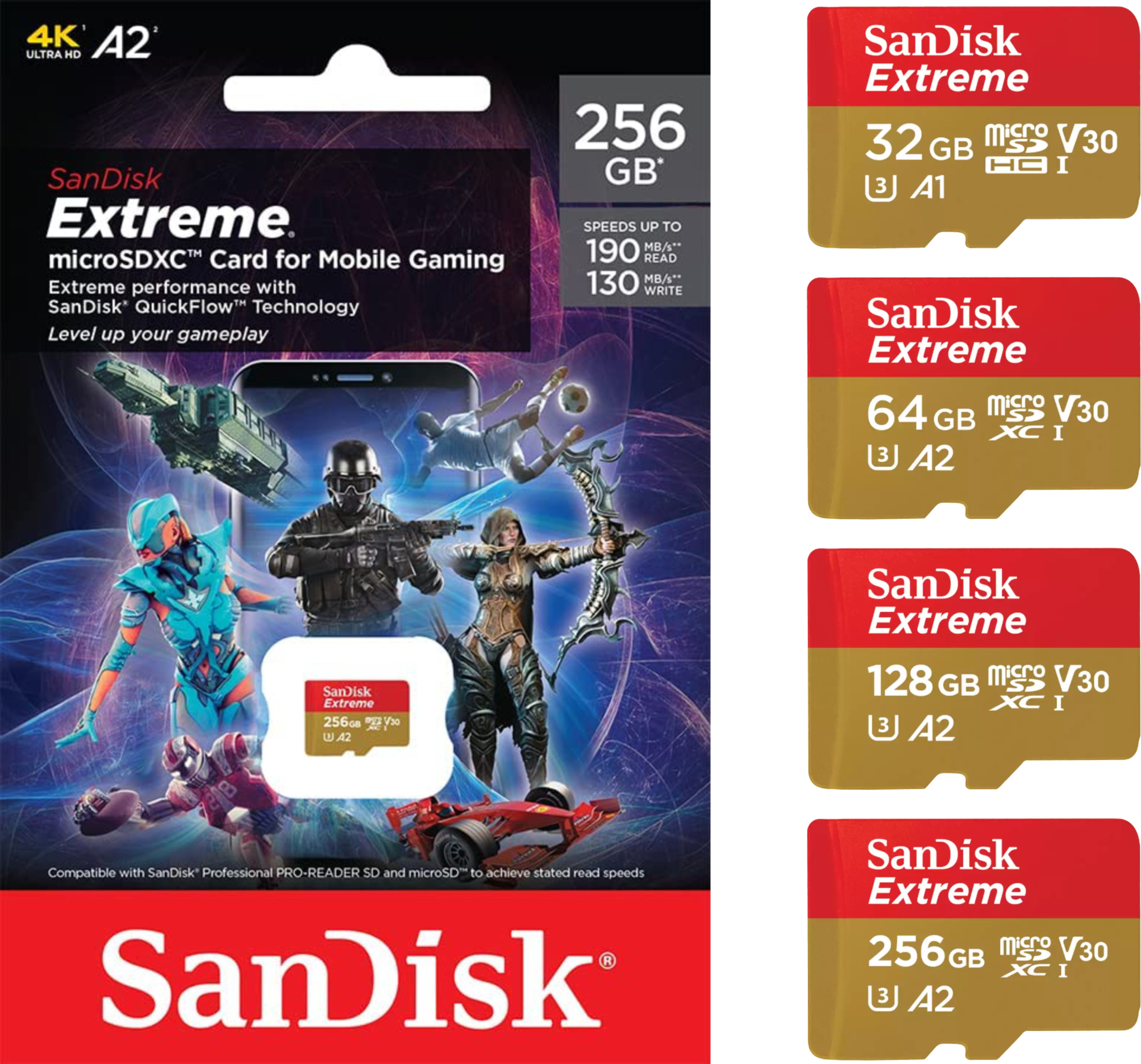 Extreme 4K microSD GAMING Speicherkarte