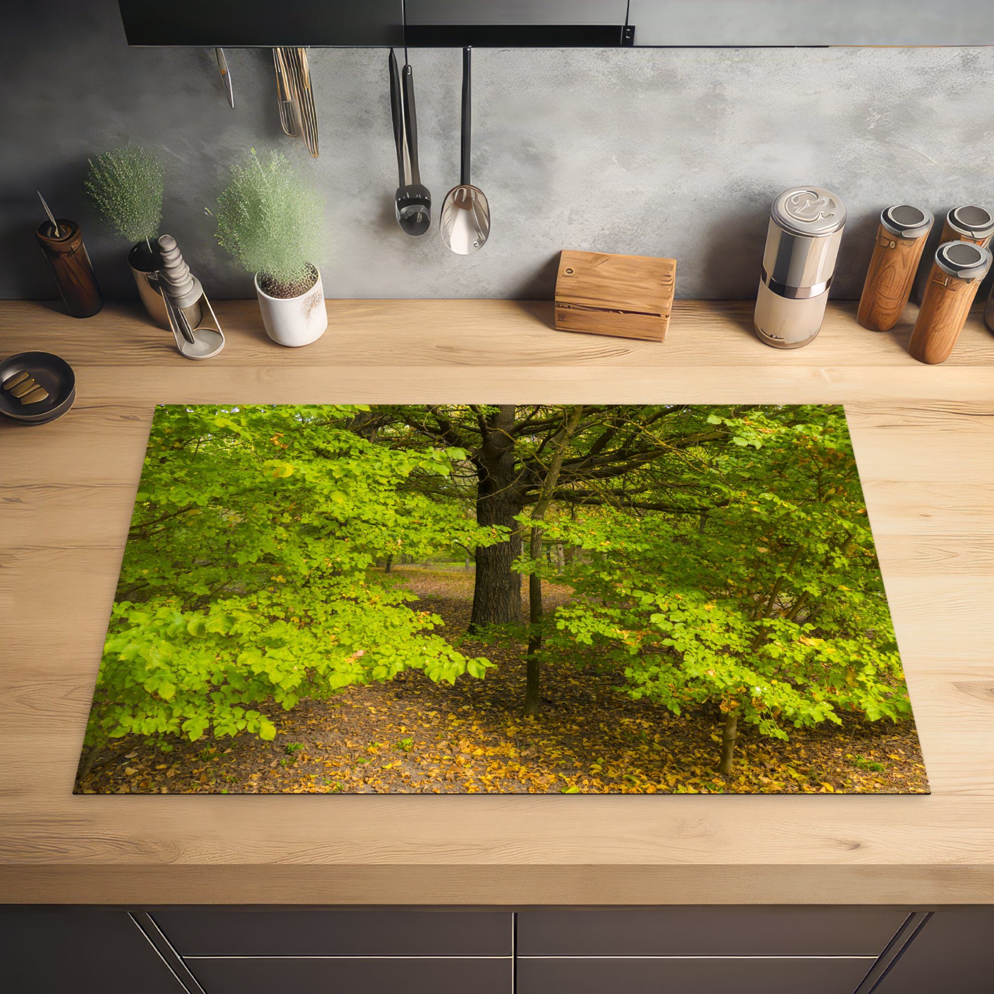 cm, Induktionskochfeld tlg), Herdblende-/Abdeckplatte Ceranfeldabdeckung Ulmenwald küche, Herbst, im für Vinyl, Schutz MuchoWow die (1 81x52