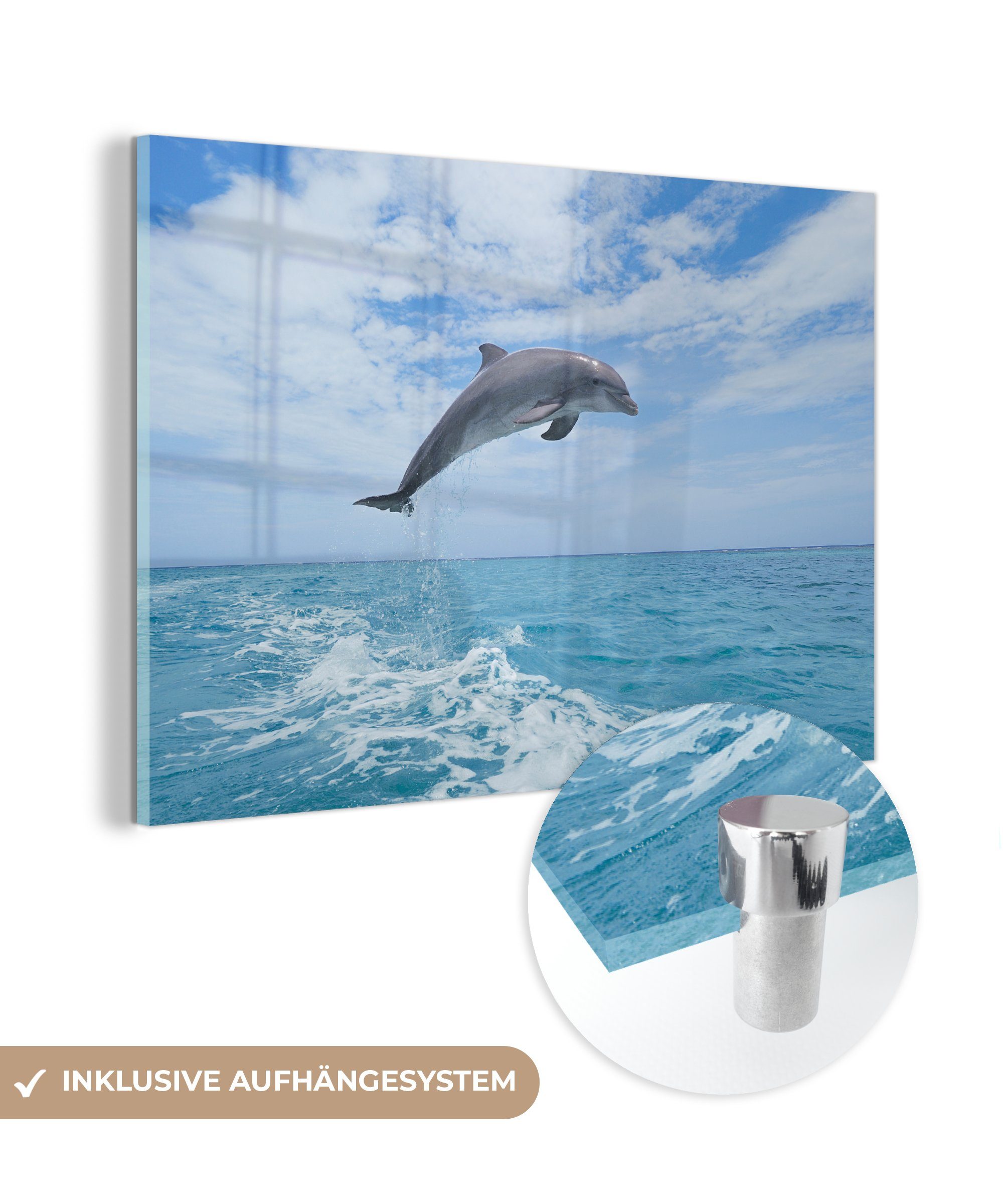 MuchoWow Acrylglasbild Delfin - Meer - Himmel, (1 St), Acrylglasbilder Wohnzimmer & Schlafzimmer
