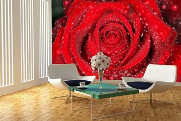 WandbilderXXL Fototapete Morning Rose, glatt, Winterlandschaft, Vliestapete, hochwertiger Digitaldruck, in verschiedenen Größen