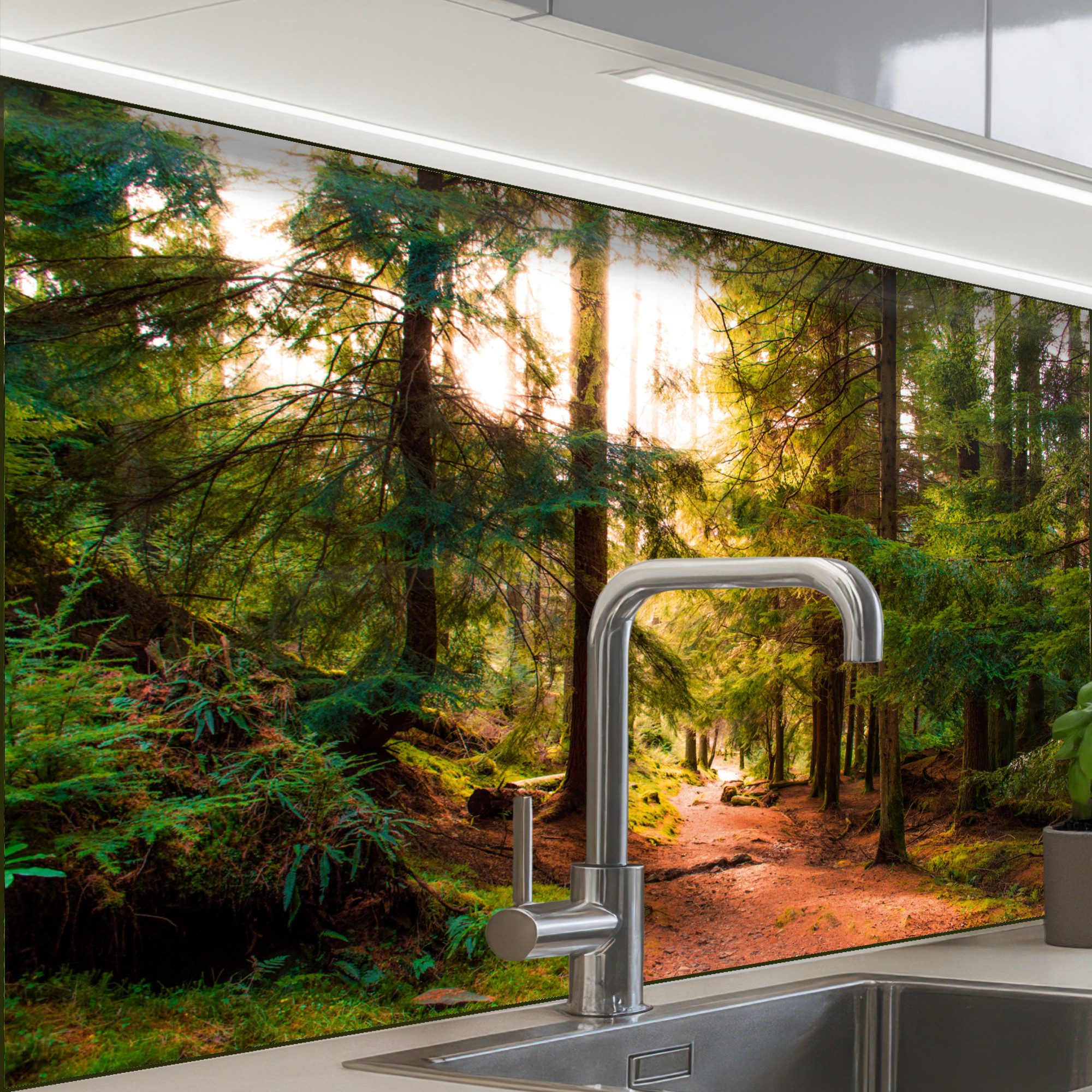 KitchenYeah Küchenrückwand selbstklebend Wald - Weg - Bäume - Grün - Sonne günstig online kaufen