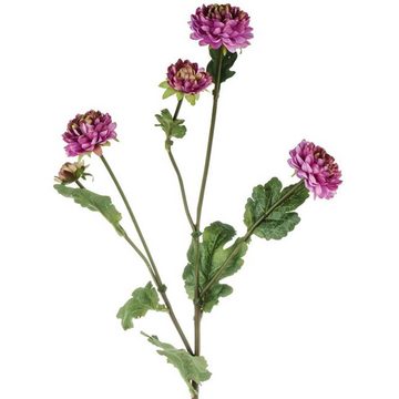 Kunstblume Kunstblume Mini Chrysantheme mit 5 Blüten Chrysantheme, matches21 HOME & HOBBY, Höhe 68 cm